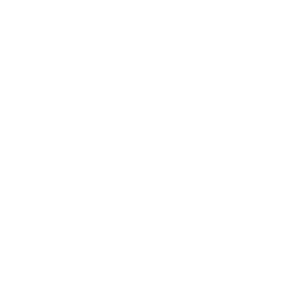 Secure Development